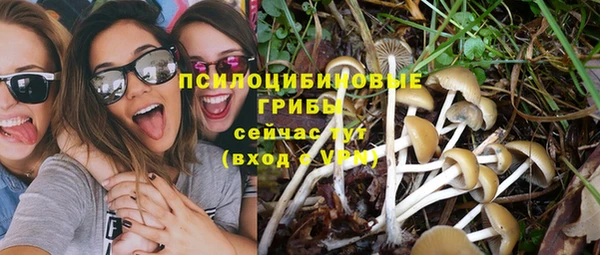 СК Всеволожск
