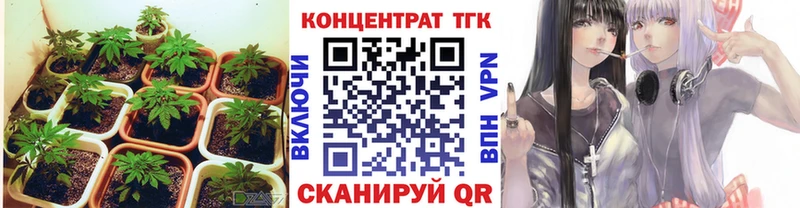 ТГК вейп Мончегорск