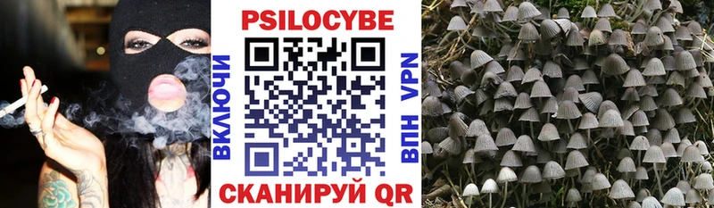 Псилоцибиновые грибы мухоморы  Мончегорск 
